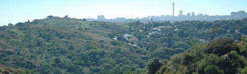 Melville Koppies and Johannesburg skyline